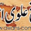 alvi awan history articles